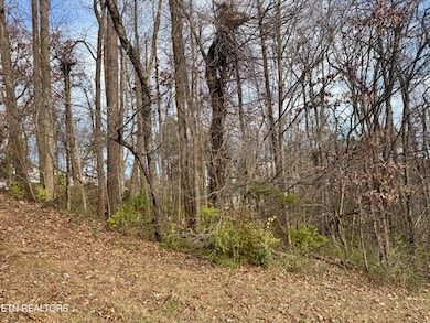 271 Sequoyah Dr, Morristown, TN 37813 - photo 3