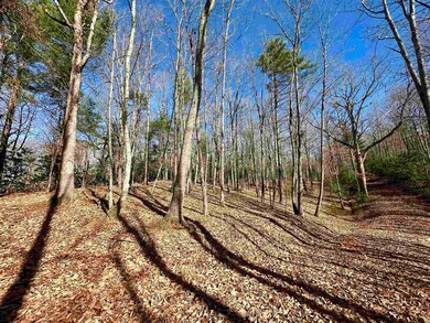1258 Treetop Ridge Rd, Blacksburg, VA 24060 - photo 3