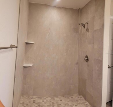 Master stall shower