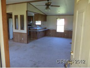 1107 E Marion Ave, Converse, IN 46919 - photo 4