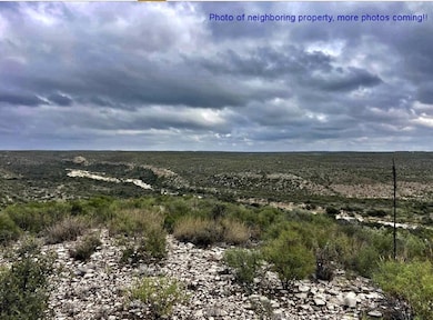 Tract 15-O Indian Creek Ranch, Dryden, TX 78851 - photo 4