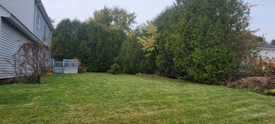 06. Backyard