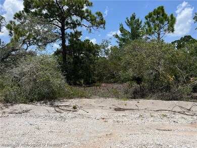 372 Jack Weisser Blvd, Lake Placid, FL 33852 - photo 3