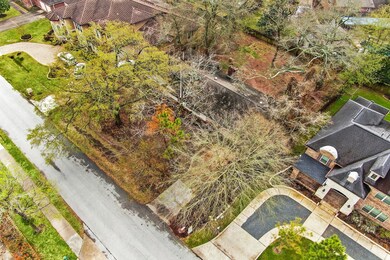 11733 Joan of Arc Dr, Houston, TX 77024 - photo 5