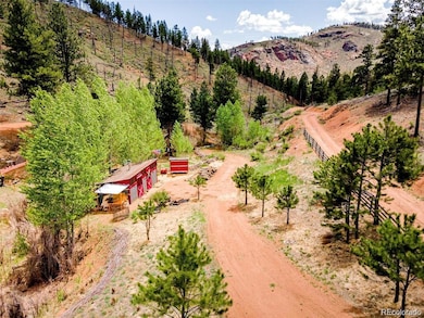 16320 Cochise Trail, Pine, CO 80470 - photo 3