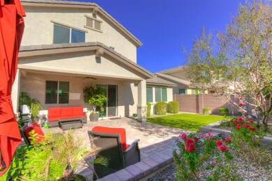 Beautiful Backyard