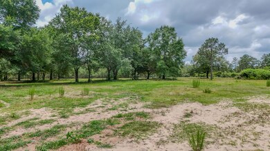 DJI_20240820234915_0019_D