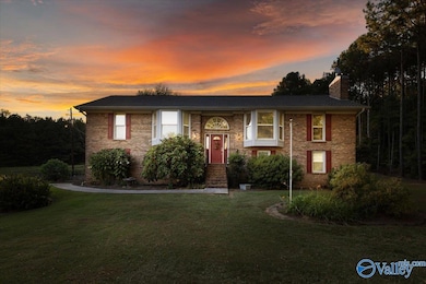 25335 State Highway 79, Trafford, AL 35172 - photo 4