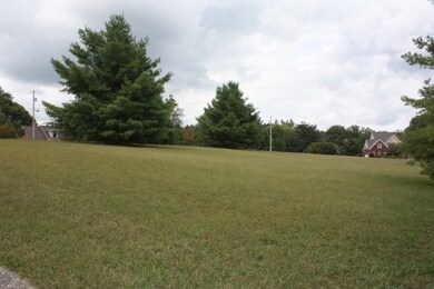 00 White's Point Dr, Cookeville, TN 38506 - photo 3