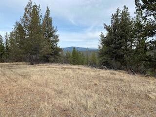 0 Widgeon Dr unit 220212170, Bonanza, OR 97623 - photo 5