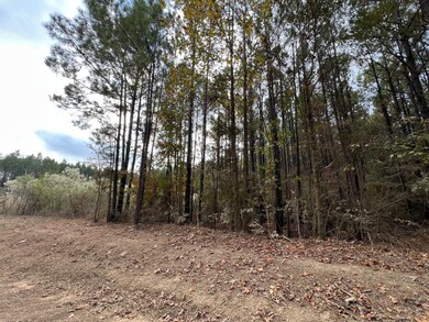 0 Sporsman Paradise Rd, Many, LA 71449 - photo 4