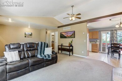 Large Bay Window