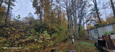 1121 Breeding Rd, Edmonton, KY 42129 - photo 5