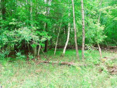 313' deep x 100' wide wooded lot.