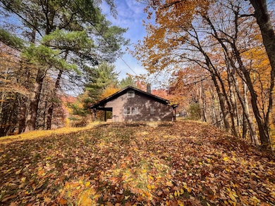 7667 Hickory Bottom Rd, Naples, NY 14512 - photo 7