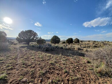Build a Home Here