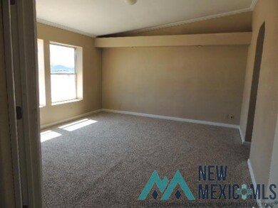 4217 Boyd Dr, Carlsbad, NM 88220 - photo 6