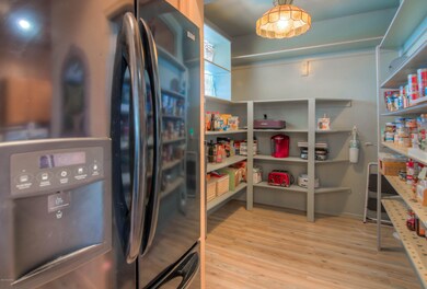 Huge Walk-In Food Pantry
