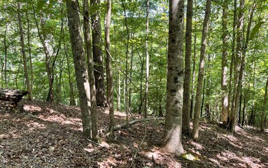 Additional View