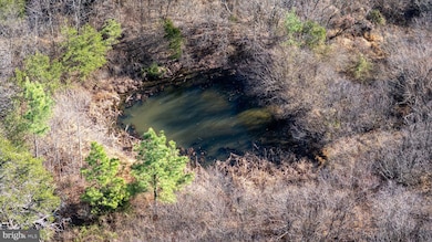 0 Dellinger Gap Rd unit VASH2013052, Edinburg, VA 22824 - photo 7