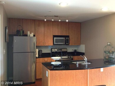 1144 Cove Rd unit 201, Annapolis, MD 21403 - photo 3