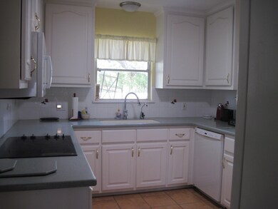 Kitchen corrian countertops