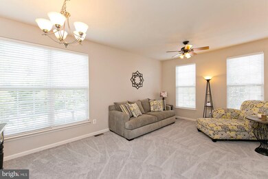 109 Hamilton Ct, Stephens City, VA 22655 - photo 5