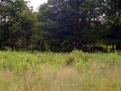 Land/Lot. On Mainly Level and Gentle...