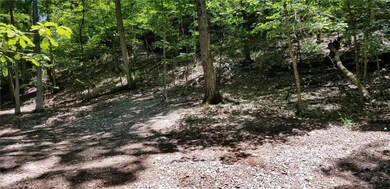 0 Valley View, Eureka Springs, AR 72632 - photo 6