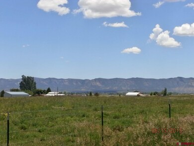 0 Road 24 1 unit 707704, Cortez, CO 81321 - photo 5