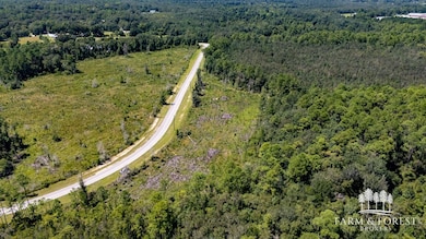 XX1 Decon Rd E, Bonifay, FL 32425 - photo 7