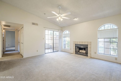 Large living space/vaulted ceilings