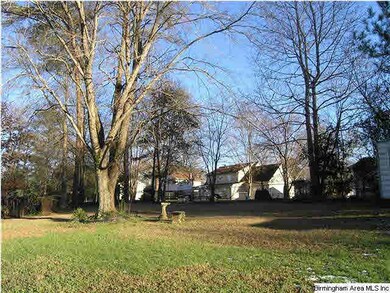 large back yard