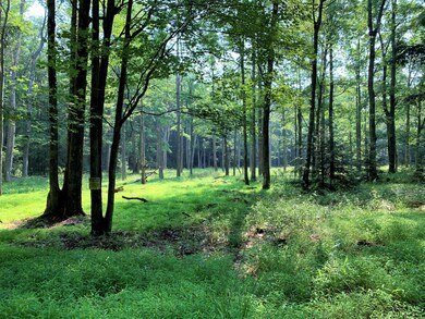 00 Elk Rd, Heath Township, PA 15860 - photo 5