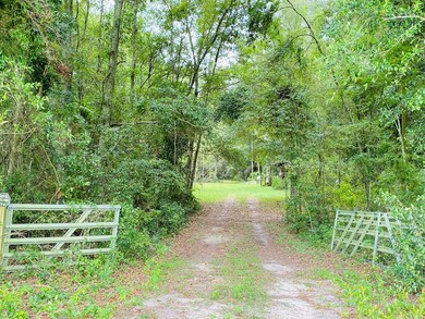 6343 280th St, Branford, FL 32008 - photo 2