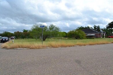 230 Caramel Dr, Alamo, TX 78516 - photo 2