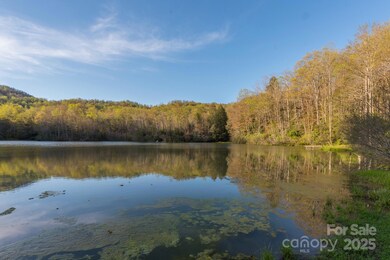 172 Crimson Dr unit 995, Old Fort, NC 28762 - photo 4