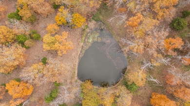 111 N 181, Everton, MO 65646 - photo 4