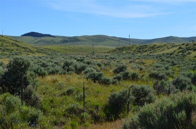 1000 Creston, Dillon, MT 59725 - photo 2