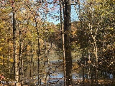Mingo Lake3