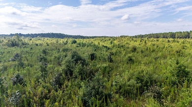 11ac Ouzts Rd, Edgefield, SC 29824 - photo 6