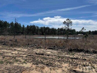 4 County Road 64 unit Lot 4, Robertsdale, AL 36567 - photo 4