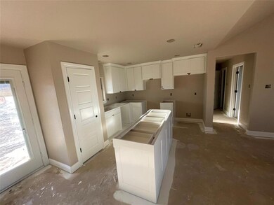 113 Walnut Ln, Weatherford, TX 76087 - photo 3