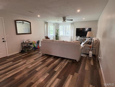 10817 Cabin Ln, Dexter, MO 63841 - photo 3