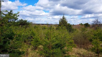 0 Orion Ct unit WVMO2001398, Berkeley Springs, WV 25411 - photo 5