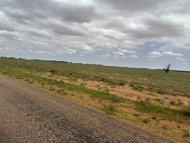0 Cr 280 unit 23809612, Brownfield, TX 79316 - photo 5