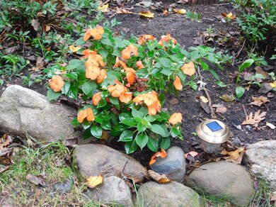 6255 N 600 W, Michigan City, IN 46360 - photo 3