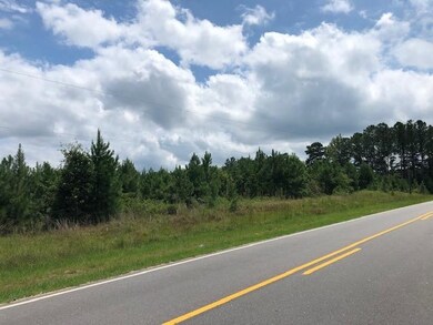 Lot 2 Brewer Rd, Louisburg, NC 27549 - photo 2