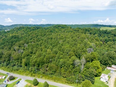 636 Meadow View Rd, Bristol, TN 37620 - photo 3