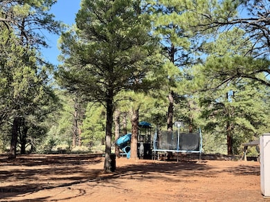 19 W Bobcat Dr, Ramah, NM 87321 - photo 4